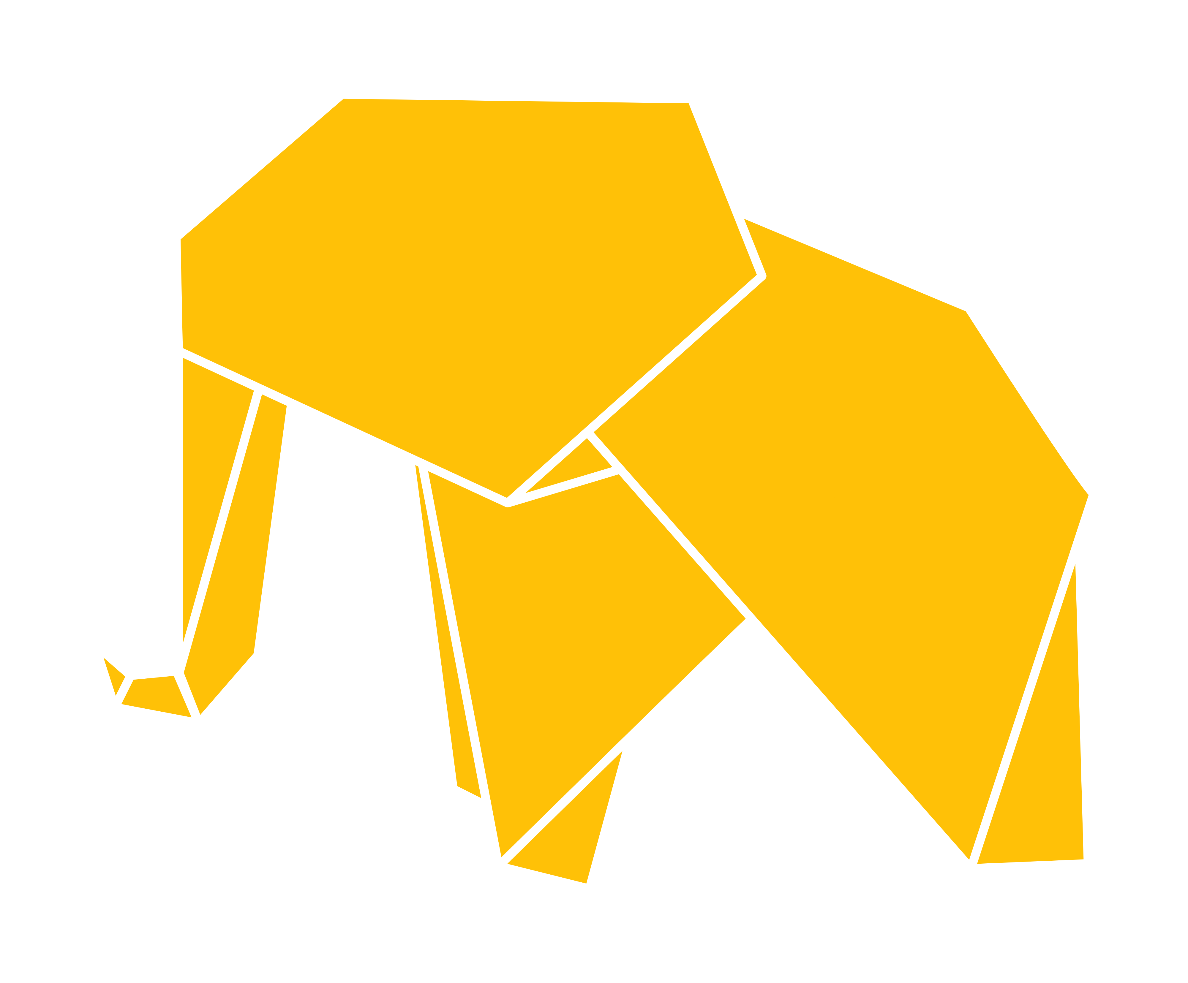 TDM Logo — Origami Elephant